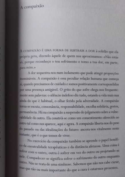 O Pequeno Caminho das Grandes Perguntas - José Tolentino Mendonça