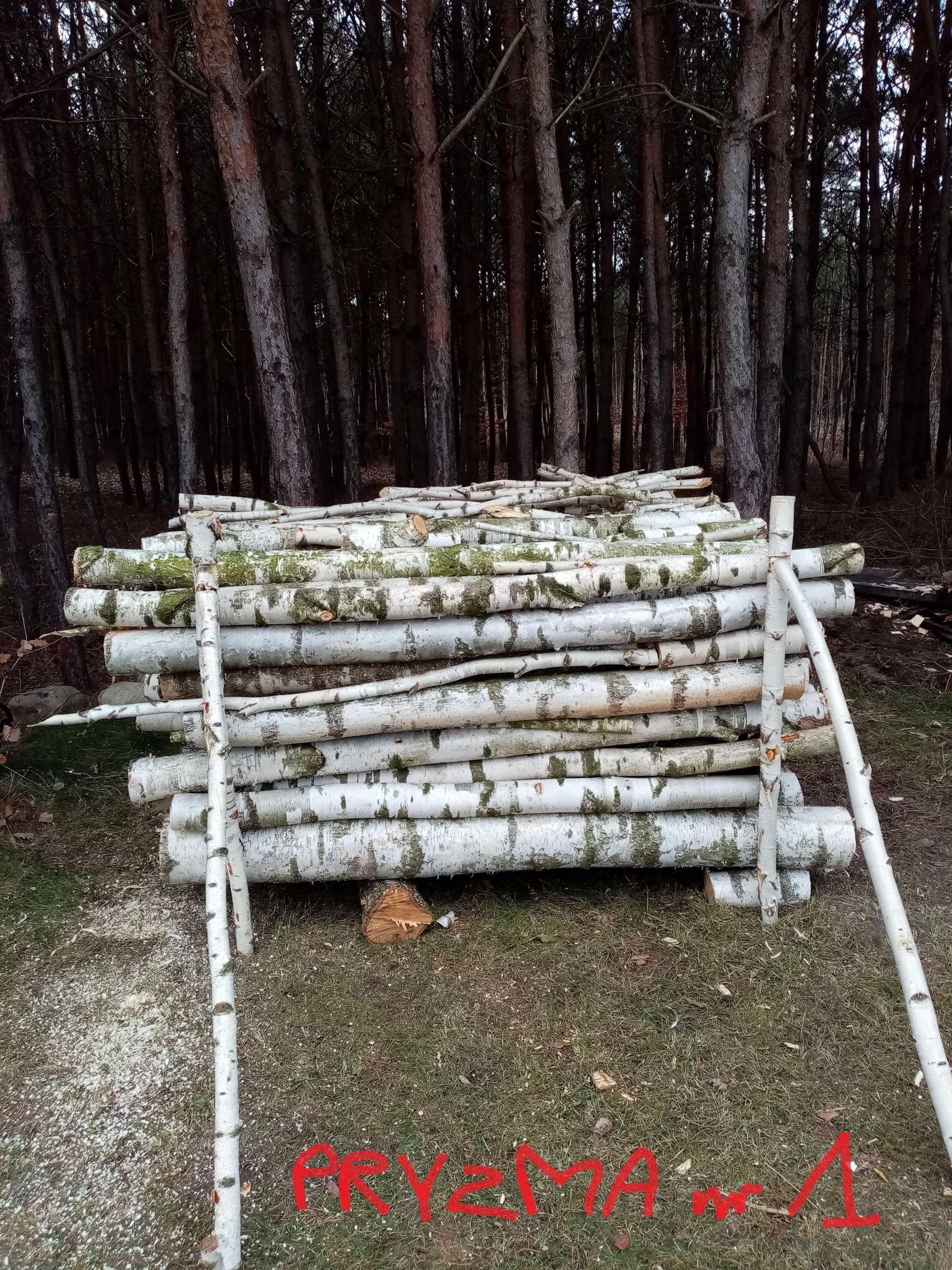 Drewno opałowe - brzoza