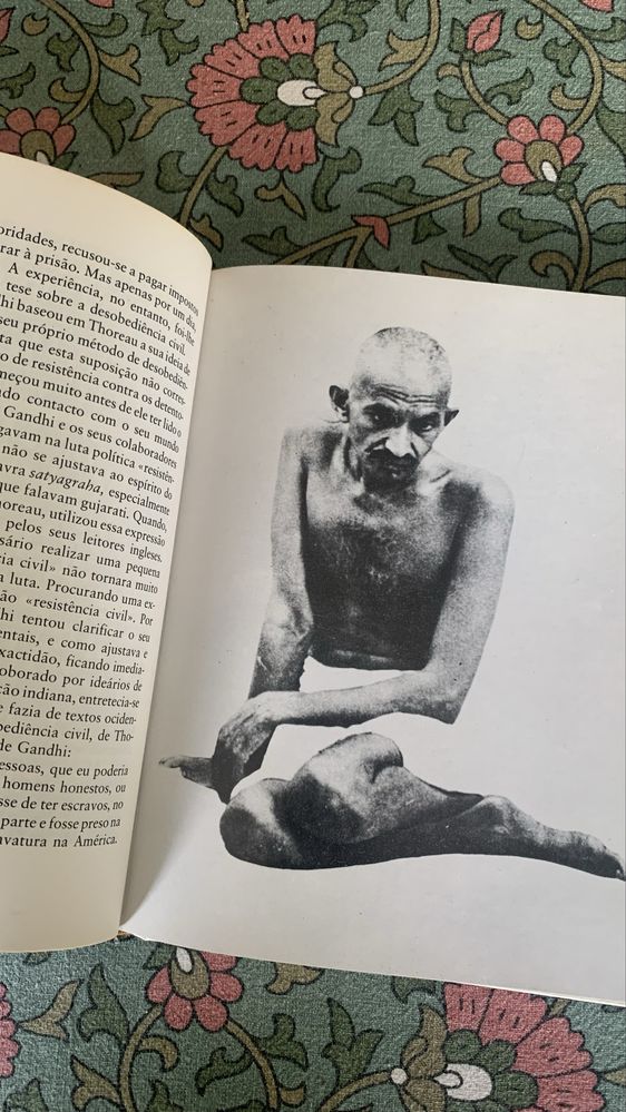 Conhecer Gandhi - Heimo Rau