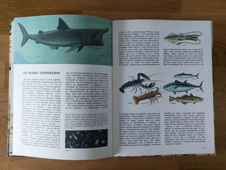 Livro Animais e Plantas de todo o Mundo