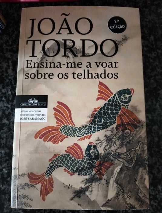 João Tordo - Ensina- me voar Sobre Telhados (Novo-Portes gratuitos)