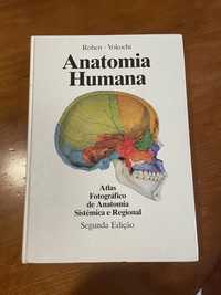 Anatomia Humana Atlas Fotográfico de Anatomia Sistêmica e Regional