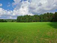 Działka rekreacyjna, budowlana, warunki zabudowy,Mazury, Las
