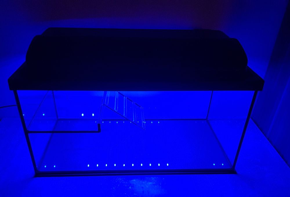 Terrarium dla żółwia wodnego 60 z pokrywą