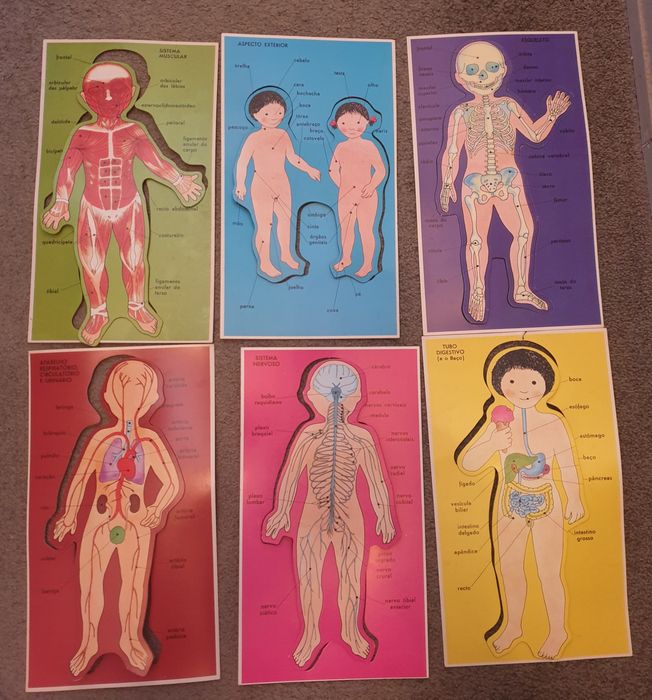 Jogo antigo da Majora Anatomia