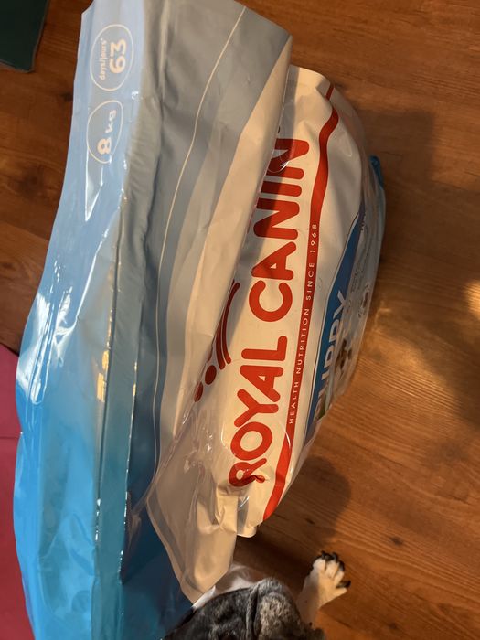Ração para cão - Royal canin ração puppy 8kg