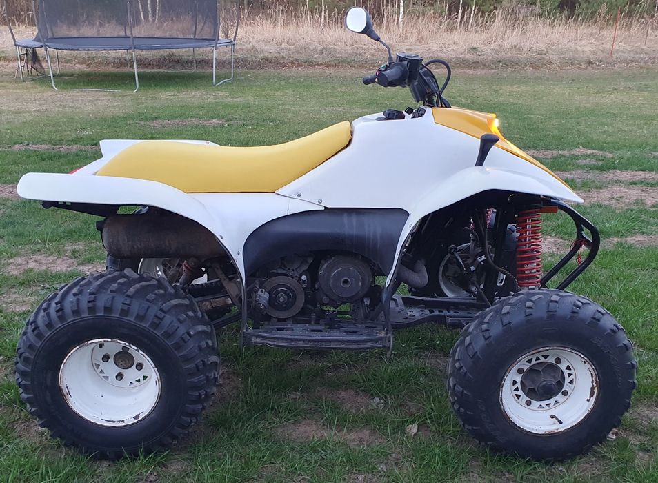 Quad Polaris trailblazer 250