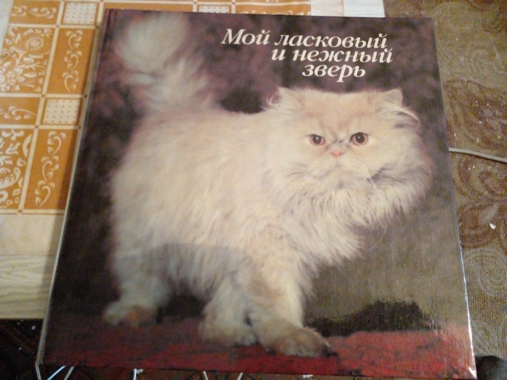 Винтажная литература о кошках