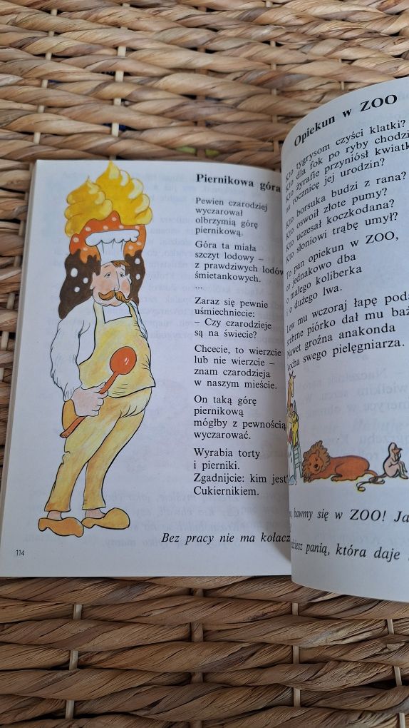 Pokochaj polską mowę Helena Metera Podręcznik do polskiego na obczyźni