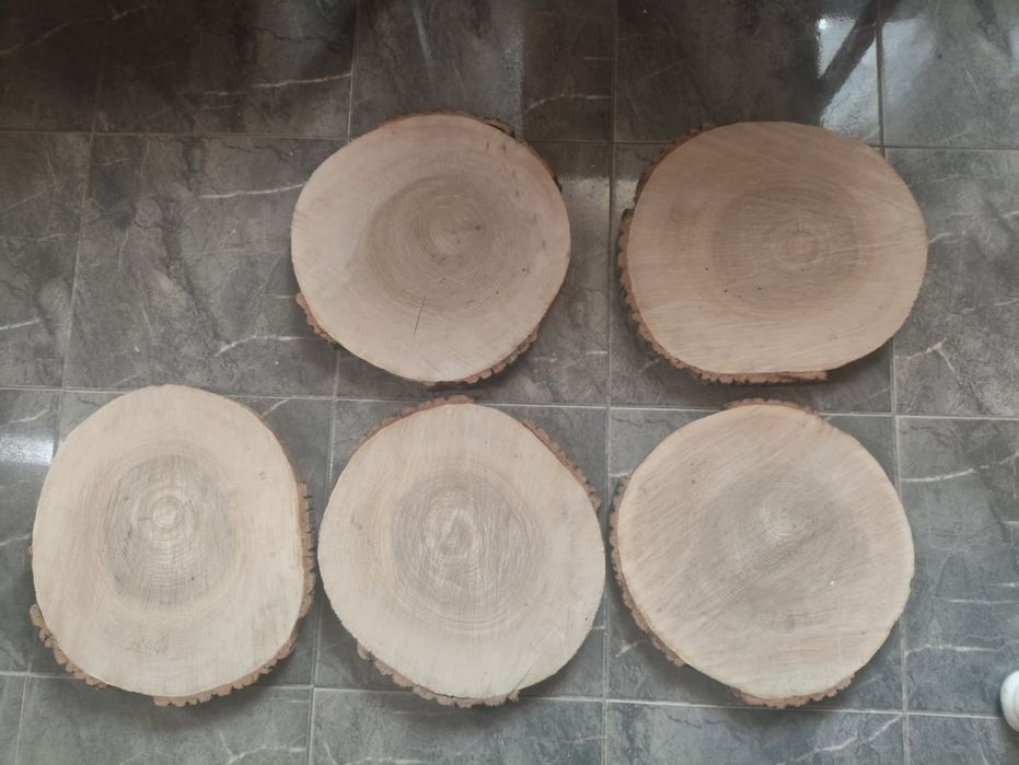 Plastry drewna 42 cm