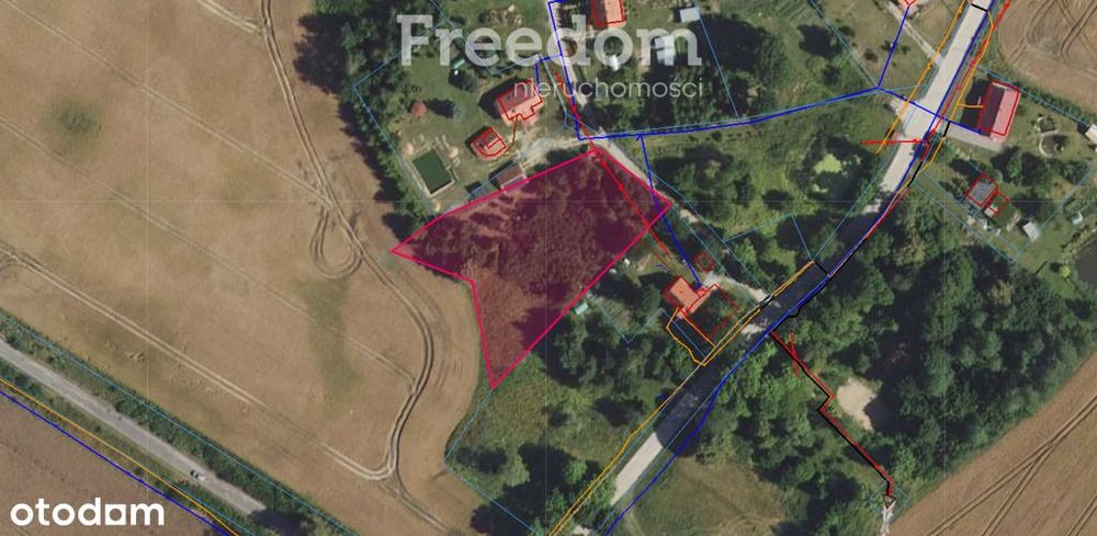 Działka 3 217 m² – cisza i las w zasięgu