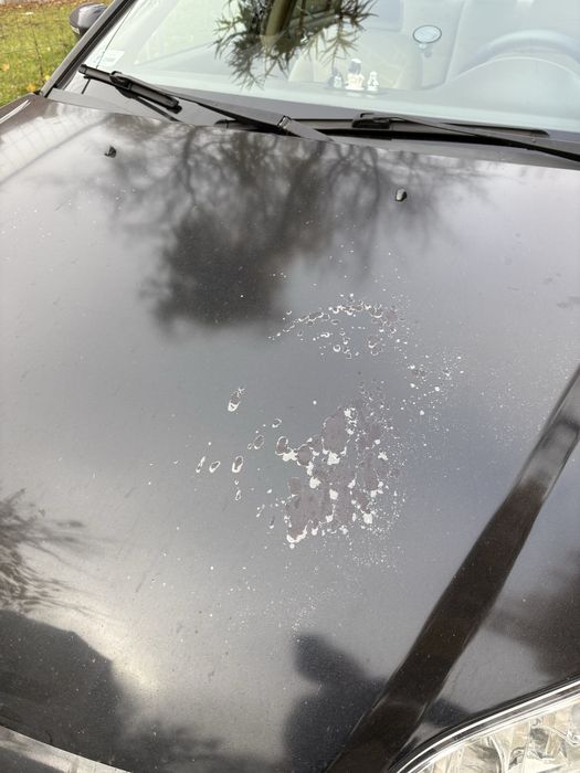 Honda Civic VII sedan 2004 V-TEC