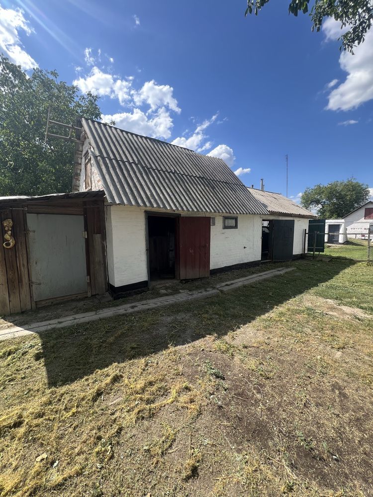 Продам затишний будинок в затишному місці