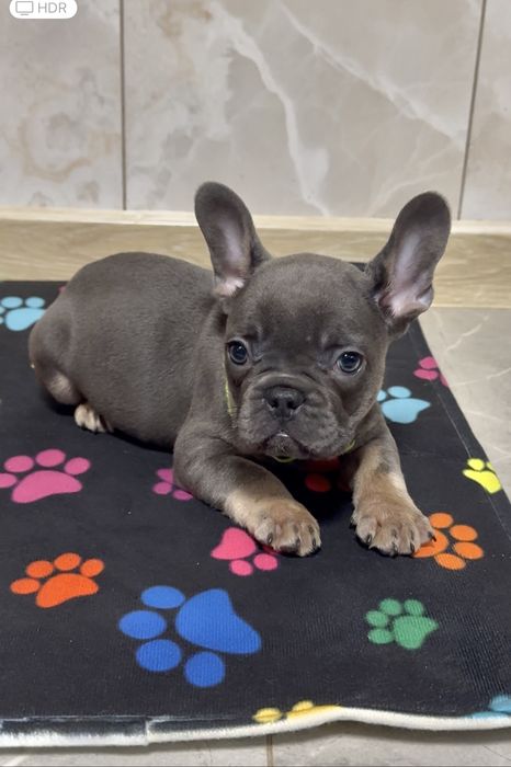 Реальні хлопчики та дівчинка чекають на відповідальних батьків