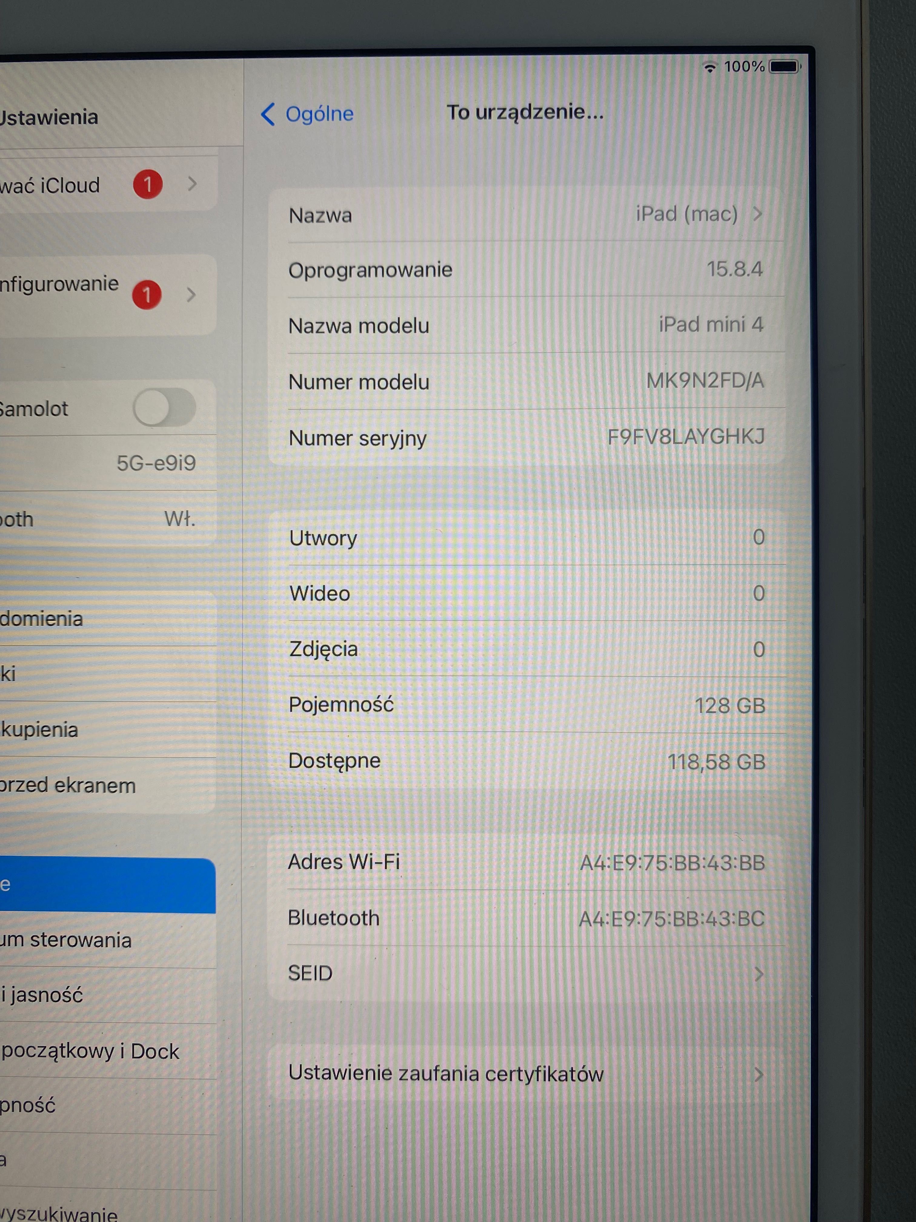 iPad mini 4 A1538 uszkodzony
