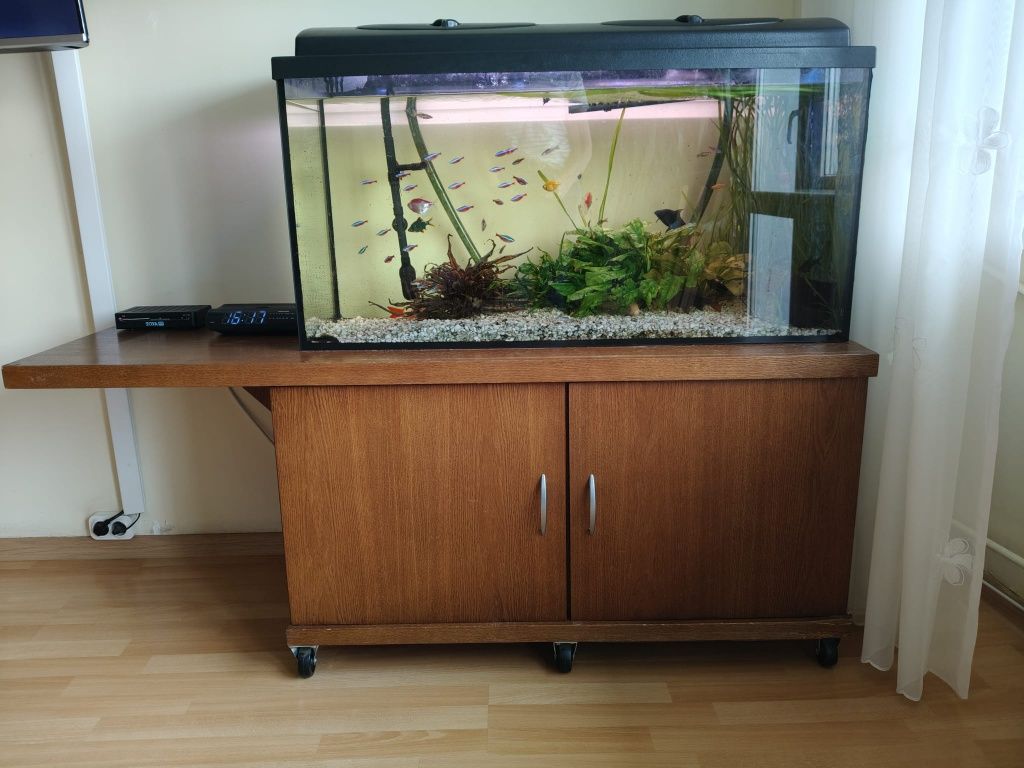 Akwarium 180l z szafką