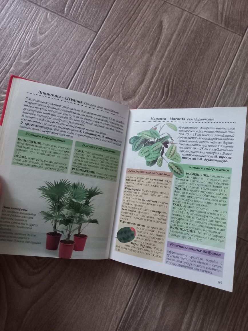 Книга "Уход за домашними растениями"