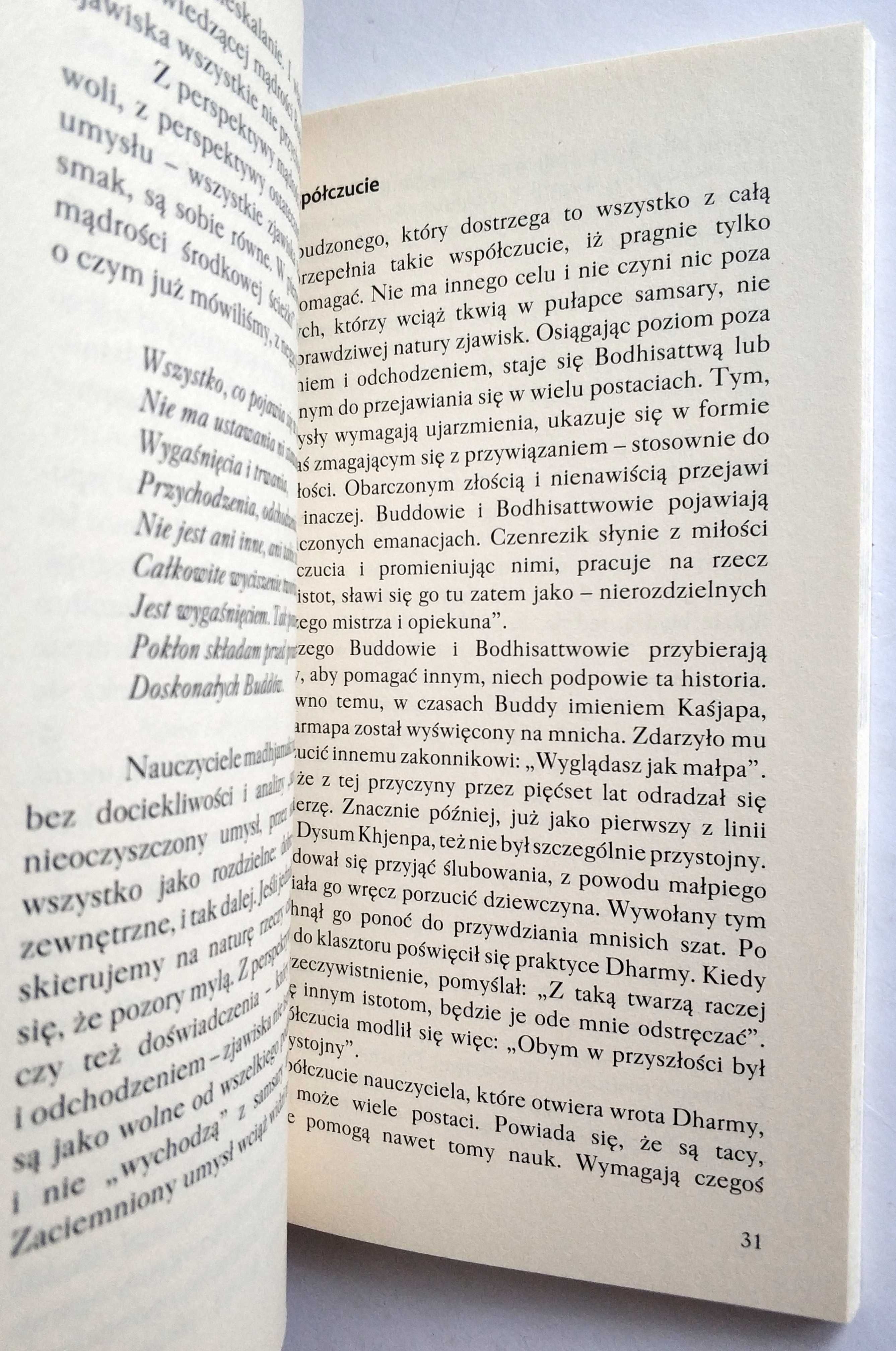 Na ścieżce współczucia, J.Ś. XVII Karmapa Ogjen Trinle Dordże, NOWA!