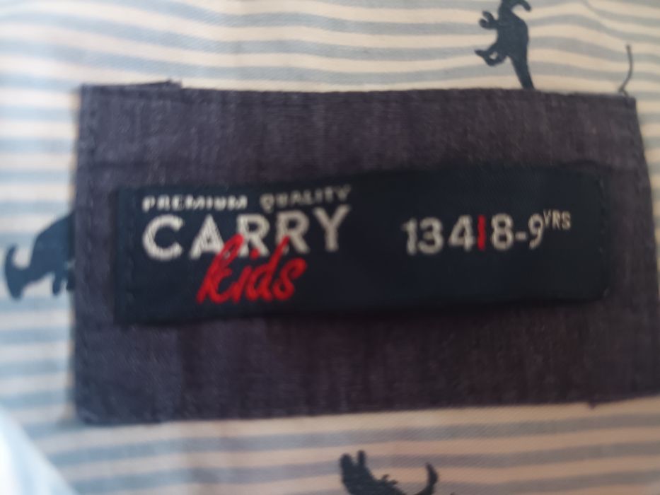 koszula długi rękaw Carry 134