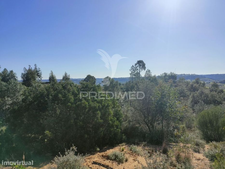 Terreno Rústico - Monsanto, Alcanena