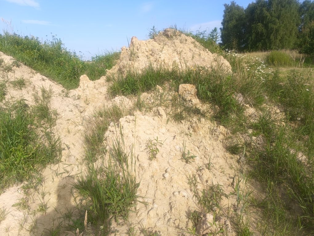 Oddam ziemię z wymiany gruntu