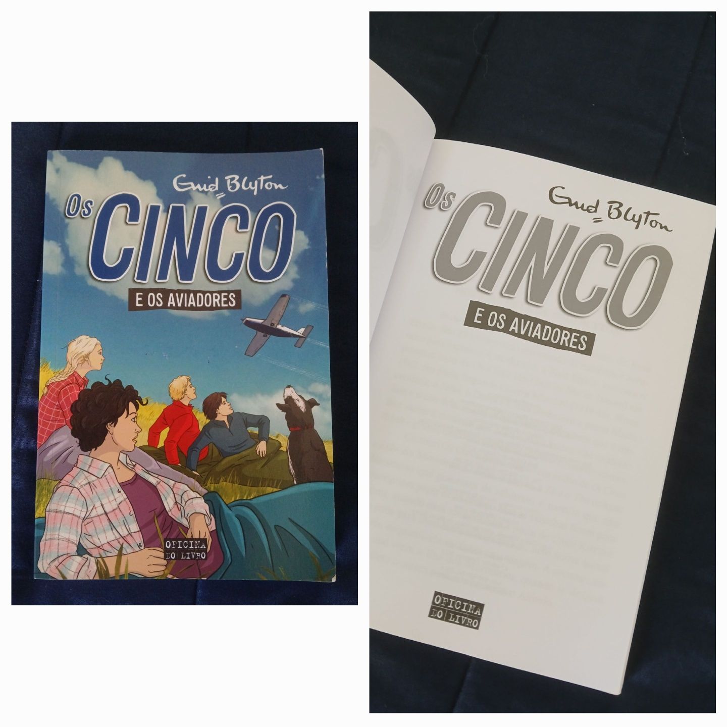 Variados livros como novos