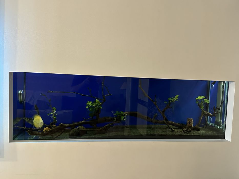 Vendo aquario  1.90 comprimento + sump