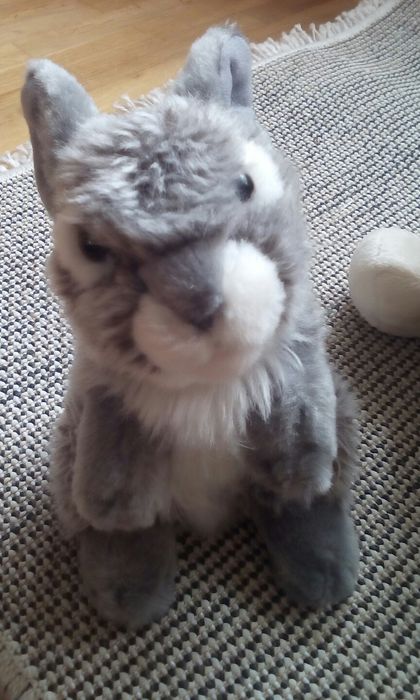 Мишка (мягкая игрушка) как новый