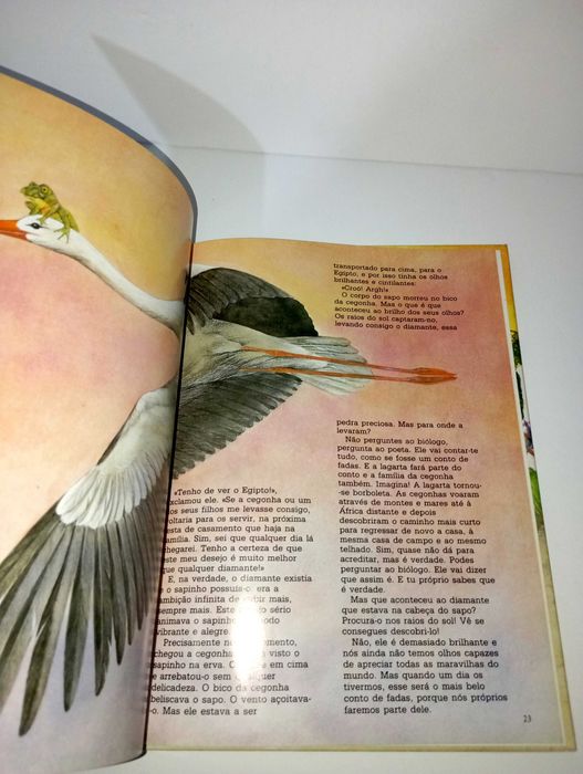 O Sapo - Hans Christian Andersen