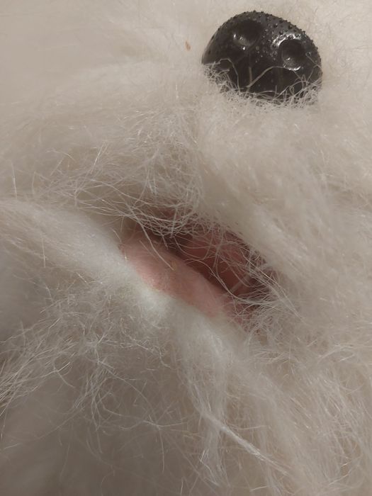 Kudlaty piesek interaktywny