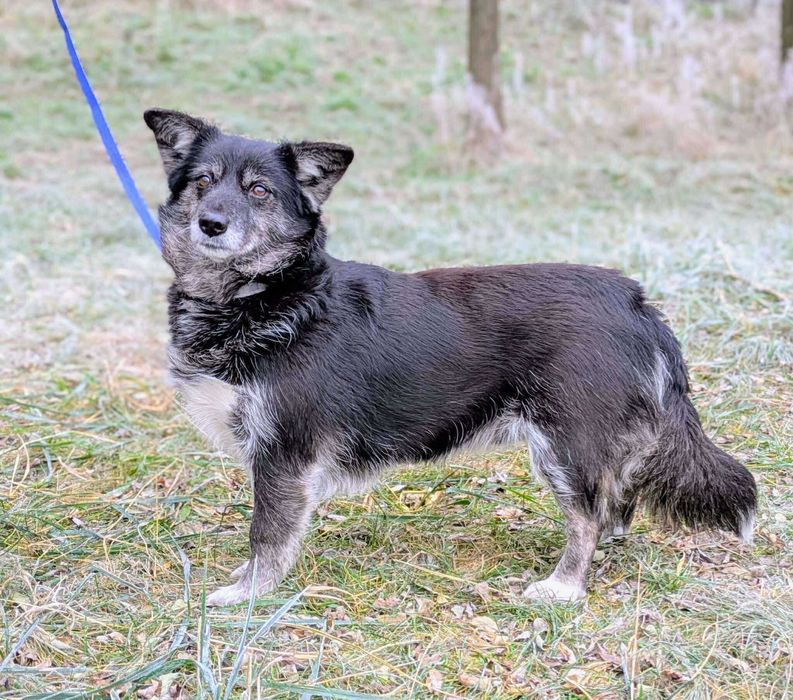 Manga- może los się do niej uśmiechnie