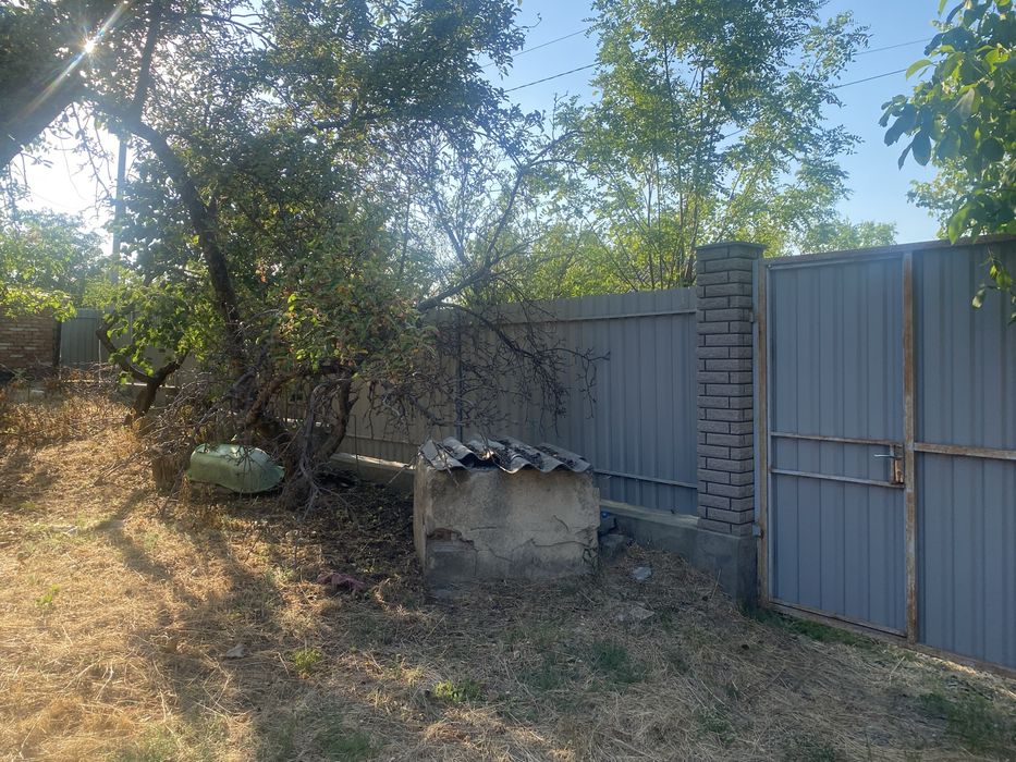 Будинок в Грушівці з великою ділянкою