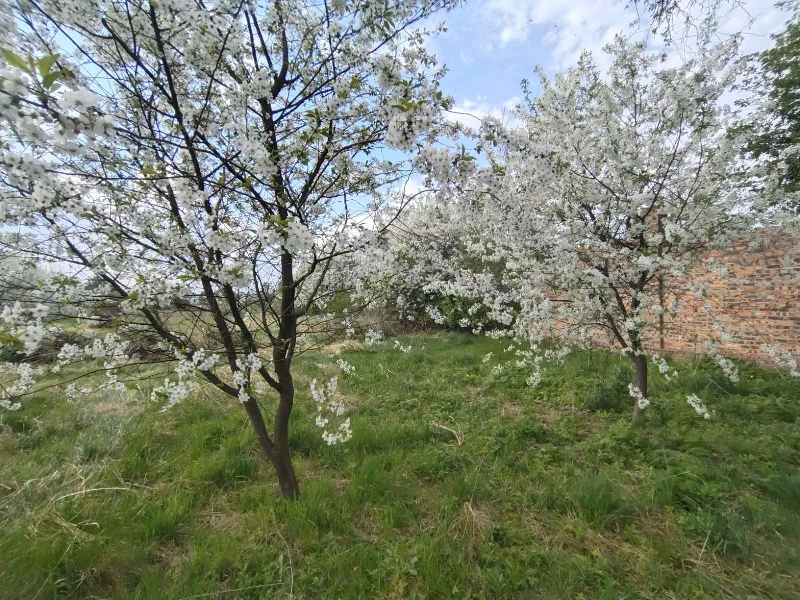 Продаж будинку с. Іванівка