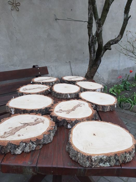 Plastry dębu,podstawki brzozowe i akacjowe