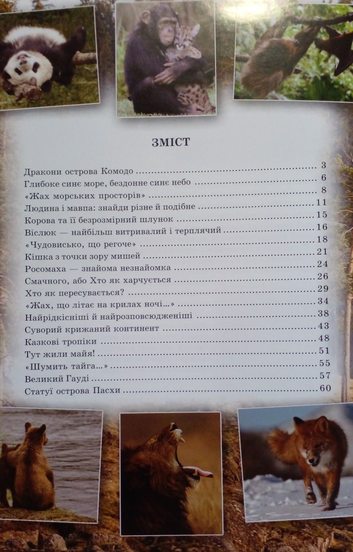 Загадки і таємниці нашої планети. Енциклопедія для дітей