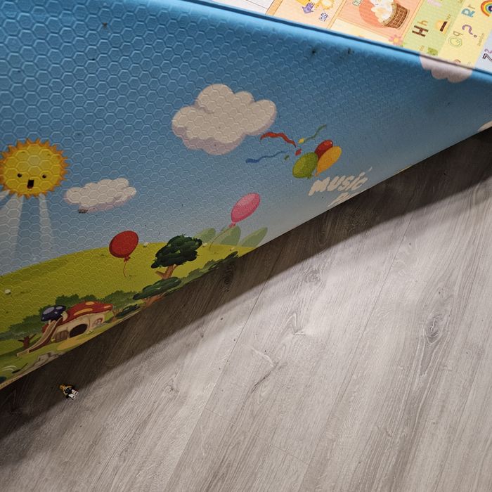 Розвиваючий килимок Dwinguler Music Parade