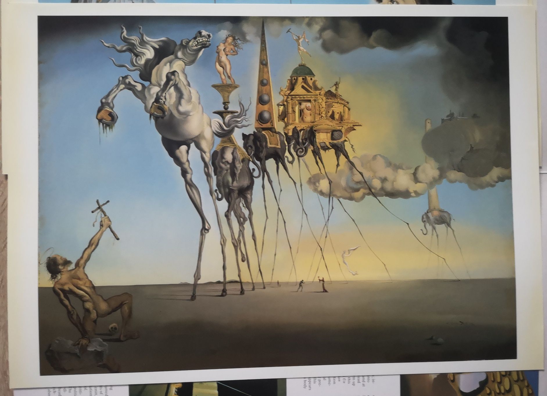 Salvador Dali - Posterbook