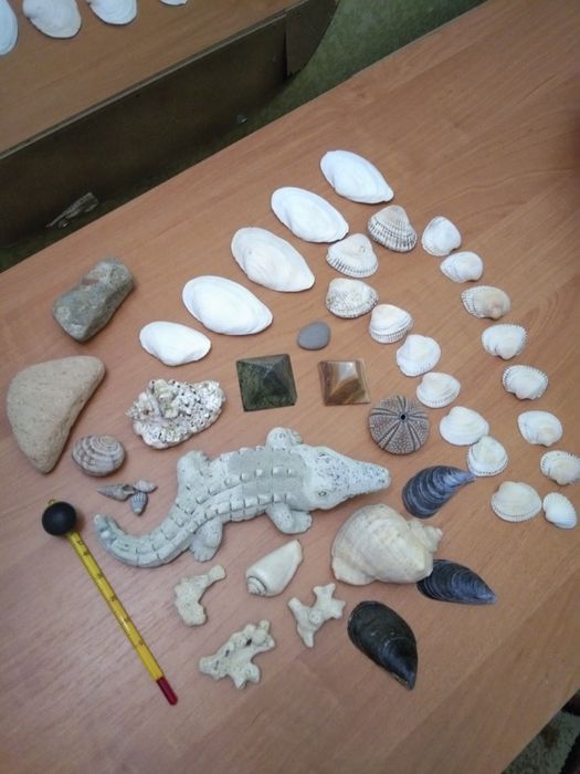 Набор,ракушки,украшения для аквариума,термометр