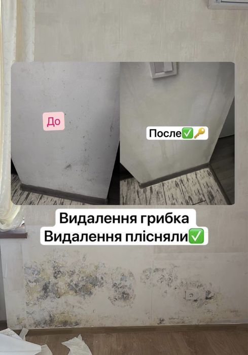 Озонування квартири , дезінфекц в авто  видалення запаху