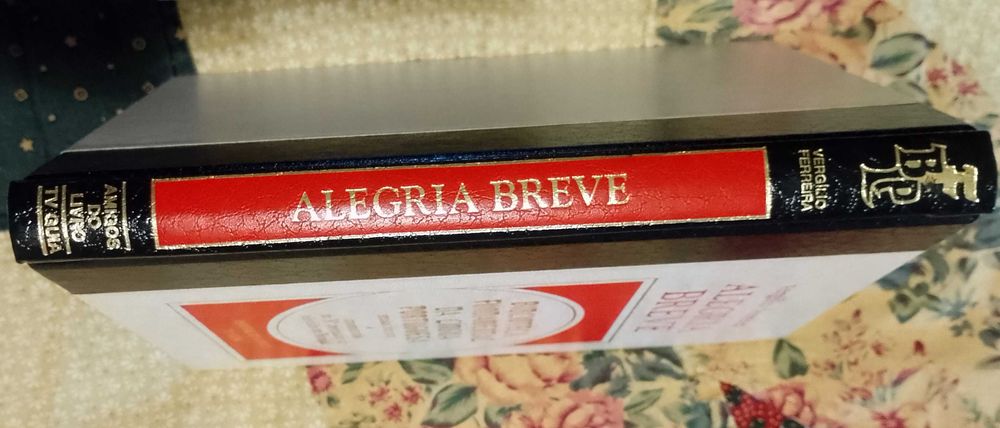 Alegria breve, Vergílio Ferreira