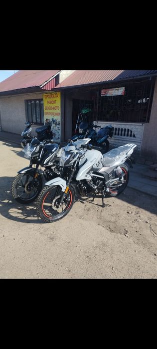 Мустанг мт 200-250