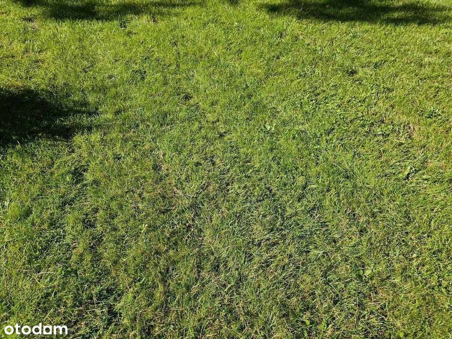 Asfalt Kanalizacja Gaz Światłowód Prąd Gaz