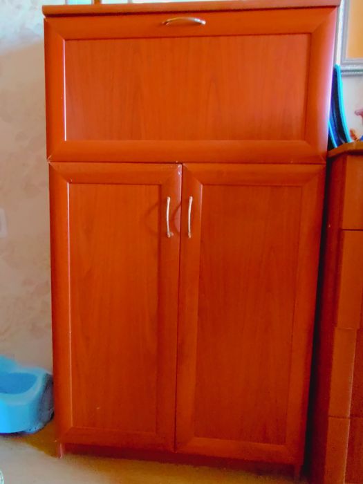 Продам стінку коляру "яблуня"