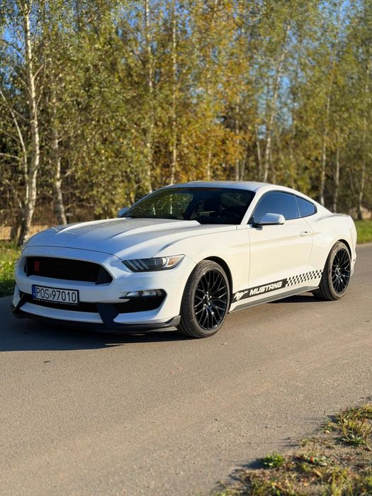 Ford Mustang Ford Mustang V6 - Shelby GT 350 Look - Doinwestowany