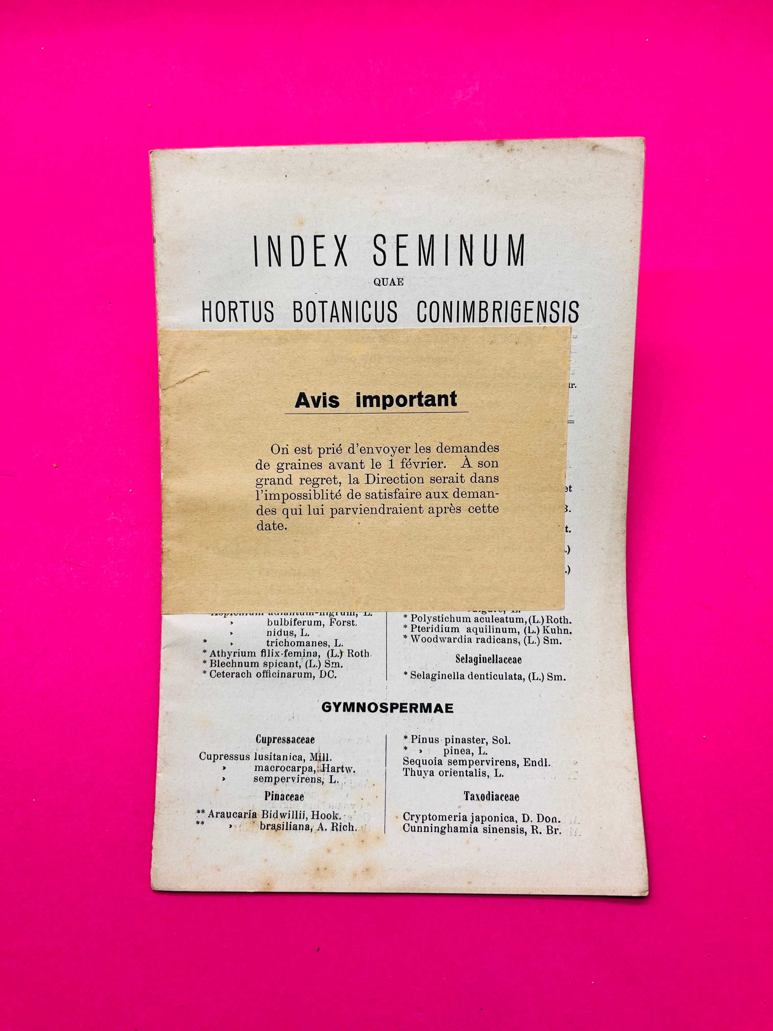 INDEX SEMINUM quae Hortus Botanicus Conimbrigensis Ano 1935