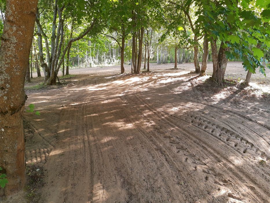 glebogryzarka separacyjna kosiarka bijakowa usługi ogrodnicze