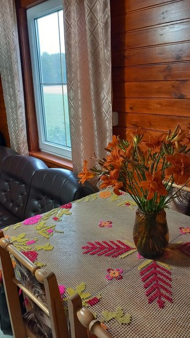 Domek pod Lipką, domek pod lasem, caloroczny,noclegi, balia ogrodowa,P