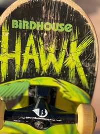 Skate Birdhouse Hawk