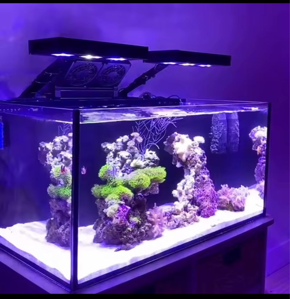 Calha luz led para aquario reef marinho agua salgada