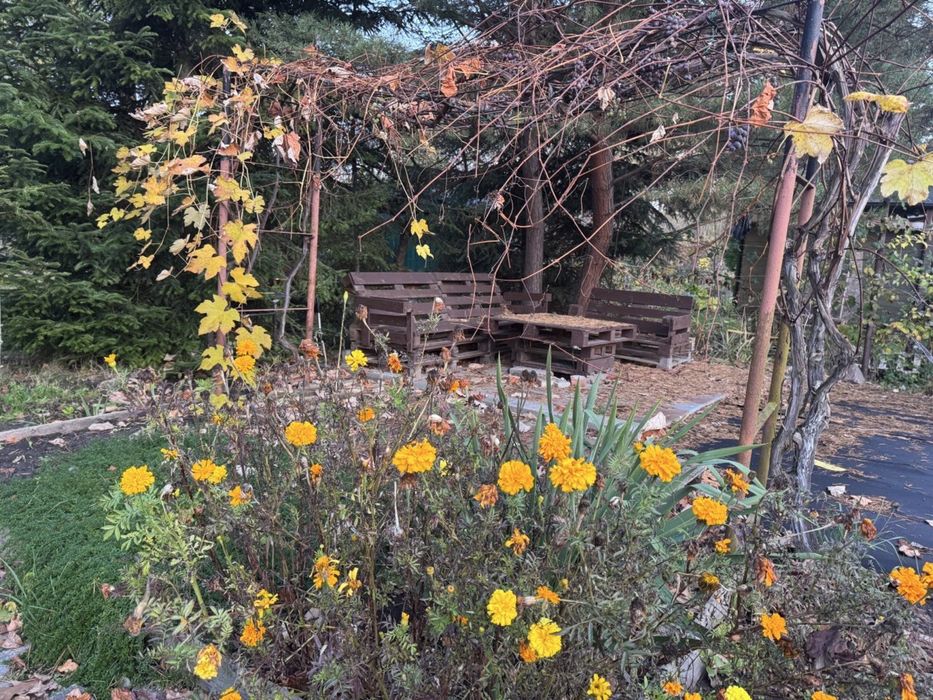 Działka w ROD „Pilczyce”